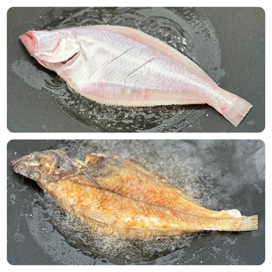 용가자미