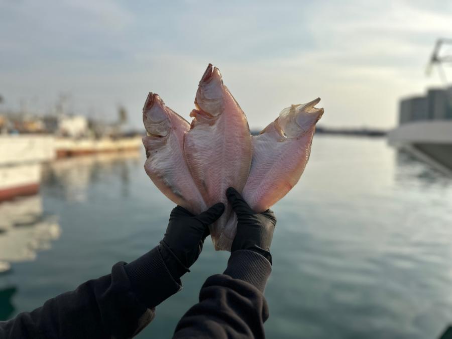 해풍 자연건조 울산 방어진 용가자미 참가자미
당일 경매후 당일 손질 세척 건조과정을 통해서 고객님들께 보내드려요!!