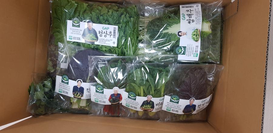 GAP 쌈배추, GAP 청상추, 적 TCL 비터 적재