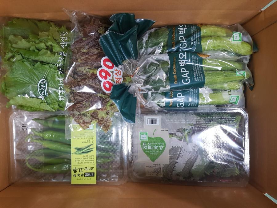 무농약 고추 2450, 시원한 사업자를 받으면 최일수배 중 뜨라네 만인. 오이맛 안시성과 SHANG HAID ### 한 봉지에 가득 채운 신선함. CEO 추부깻잎 4V4 적상. Fresh Cuc GAP Fresh CAP Cucumber GAP 백오. Fresh Cucumber GAP 오이드 GAP 백S GAPSR.