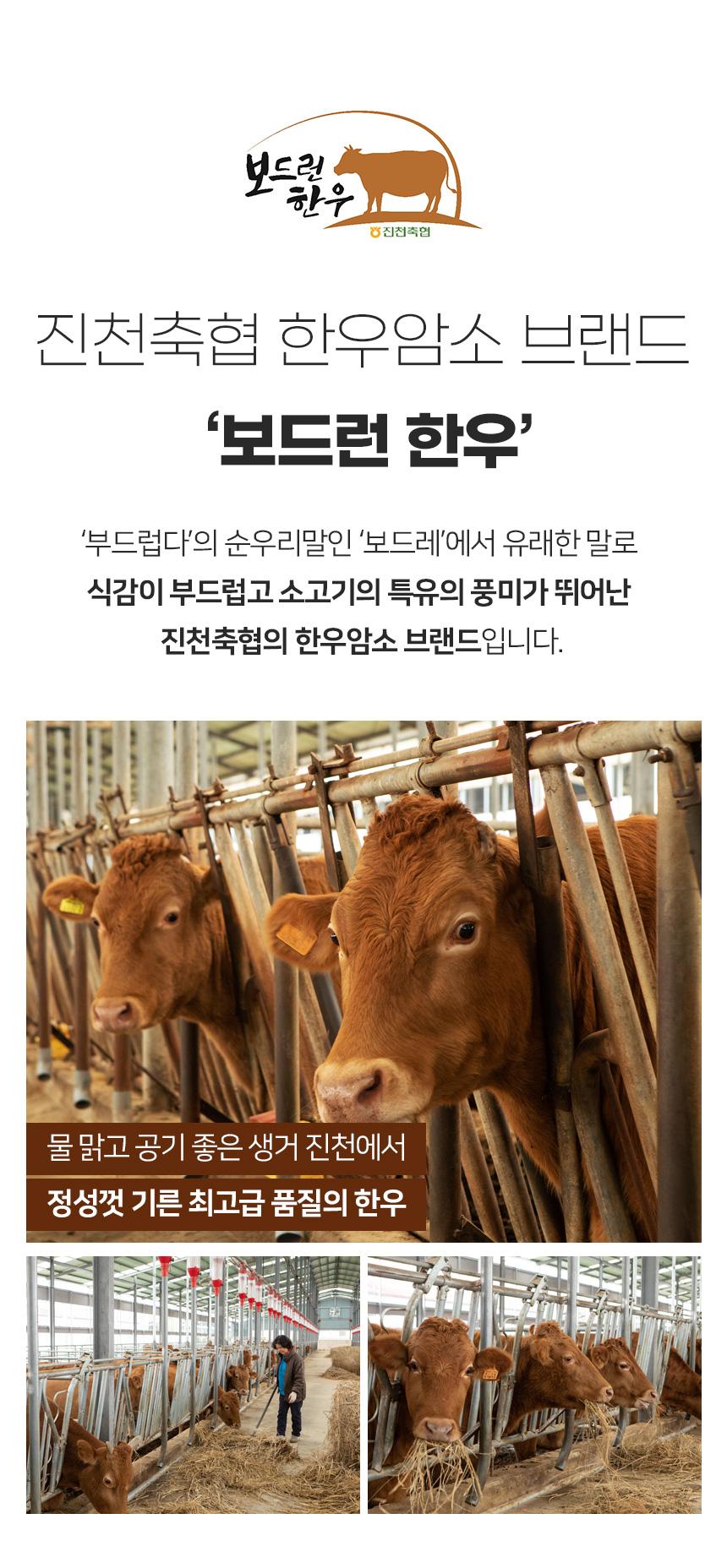 보드런한우 브랜드