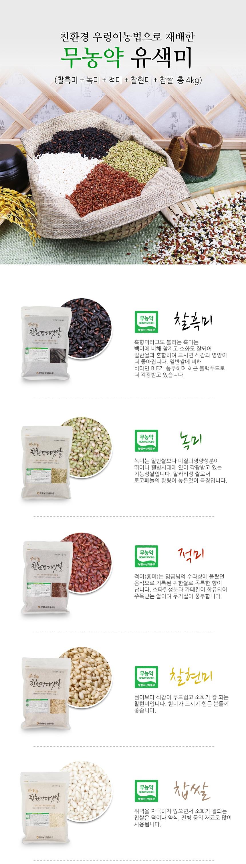 친환경 우렁이 농법으로 재배한 무농약 유색미 (찰흑미, 녹미, 적미, 찰현미, 찹쌀 총 4kg)
찰흑미는 백미에 비해 찰지고 소화도 잘 되어 일반 쌀과 혼합하여 드시면 식감과 영양이 더 좋아집니다. 비타민 B와 E가 풍부하며 최근 블랙푸드로 각광받고 있습니다.
녹미는 일반 쌀보다 미질과 영양 성분이 뛰어나 웰빙 시대에 각광받고 있는 기능성 쌀입니다. 알칼리성 쌀로서 토코페놀의 함량이 높은 것이 특징입니다.
적미(홍미)는 임금님의 수라상에 올랐던 귀한 쌀로 독특한 향이 납니다. 스타티 성분과 카테킨이 함유되어 주목받는 쌀이며 무기질이 풍부합니다.
찰현미는 현미보다 식감이 부드럽고 소화가 잘 되어 현미를 드시기 힘든 분들께 좋습니다.
찹쌀은 위벽을 자극하지 않으면서 소화가 잘 되어 떡이나 약식, 전병 등의 재료로 많이 사용됩니다.
