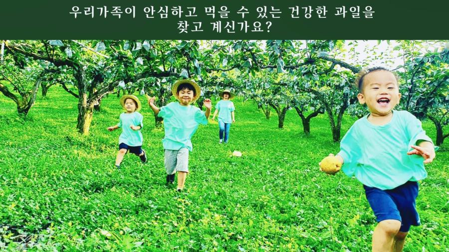 우리가족이 안심하고 먹을 수 있는 건강한 과일을 찾고 계신가요?
