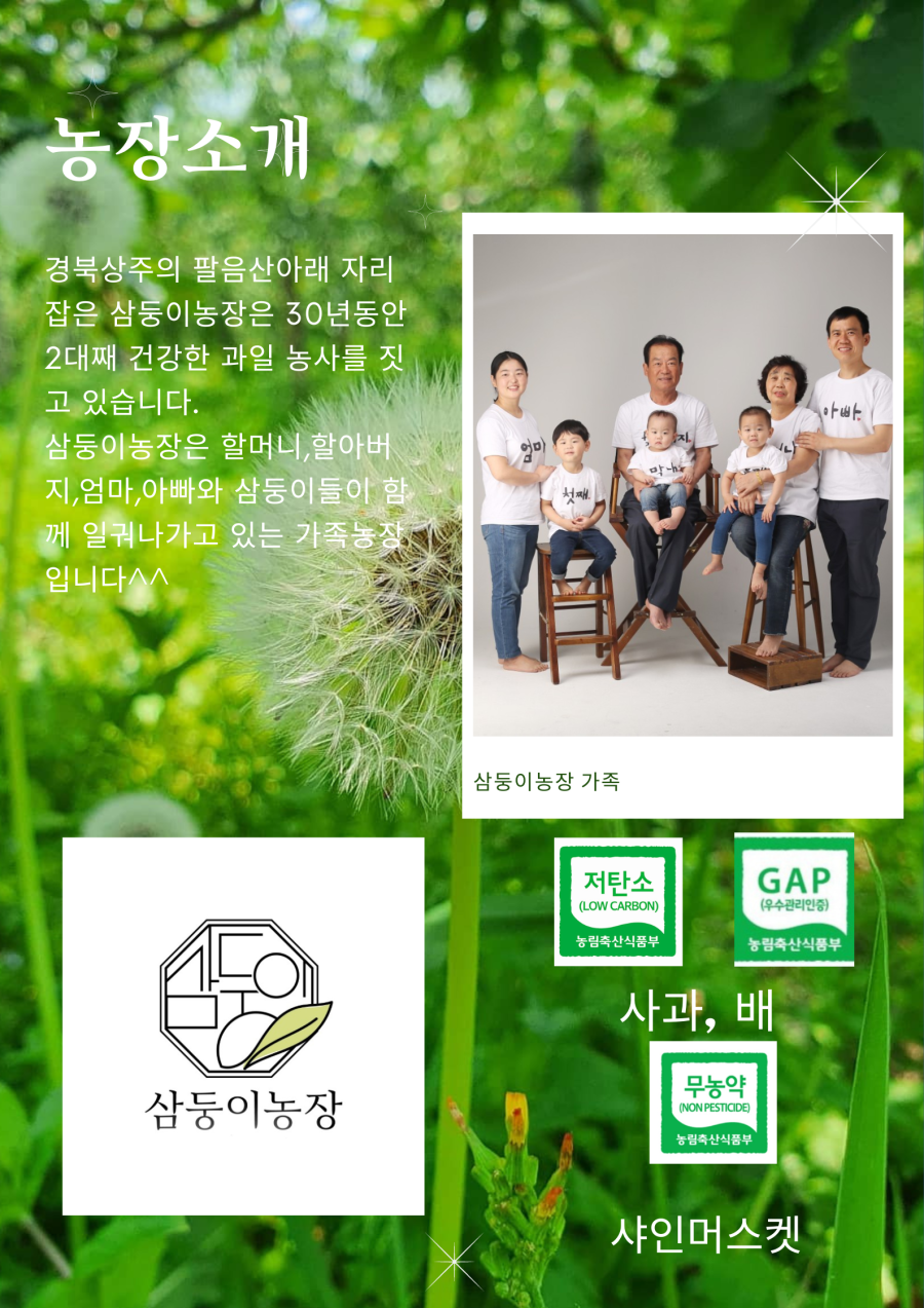 경북 상주의 팔음산 아래 자리 잡은 삼둥이농장은 30년 동안 2대째 건강한 과일 농사를 짓고 있습니다. 삼둥이농장은 할머니, 할아버지, 엄마, 아빠와 삼둥이들이 함께 일궈나가고 있는 가족농장입니다. 삼둥이농장은 저탄소 GAP (우수관리인증) 농림축산식품부의 인증을 받은 사과, 배, 무농약 샤인머스켓을 재배하고 있습니다.