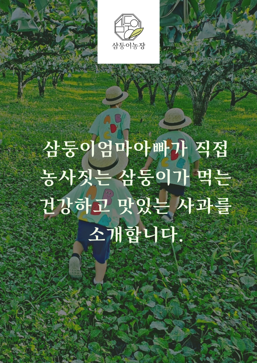 삼둥이농장은 삼둥이 엄마 아빠가 직접 농사짓는, 삼둥이가 먹는 건강하고 맛있는 사과를 소개합니다.