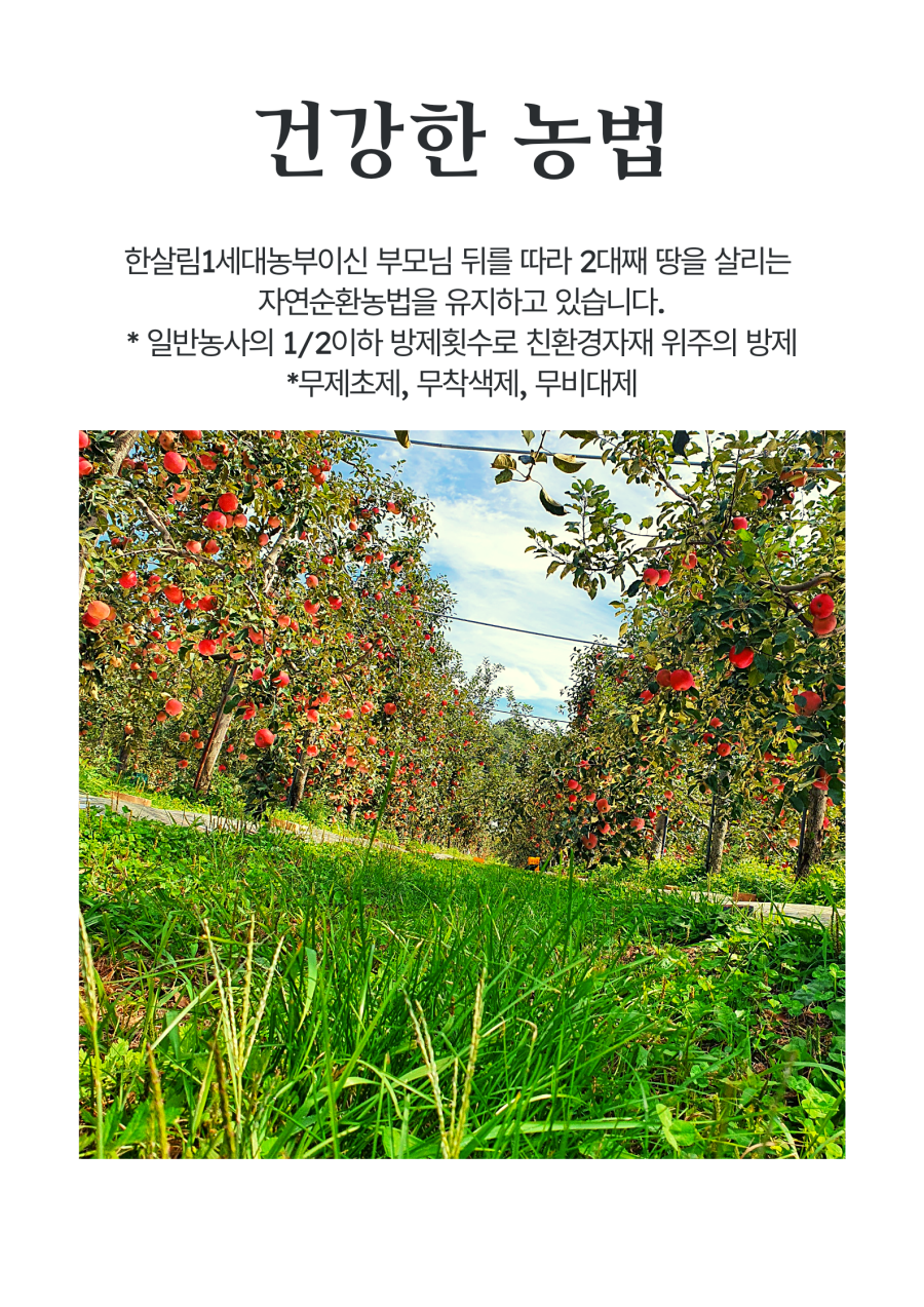 건강한 농법을 실천하는 한살림 1세대 농부이신 부모님을 따라, 2대째 땅을 살리는 자연순환농법을 유지하고 있습니다. 일반 농사의 절반 이하 방제 횟수로 친환경 자재 위주의 방제를 하고 있으며, 제초제, 착색제, 비대제를 사용하지 않습니다.