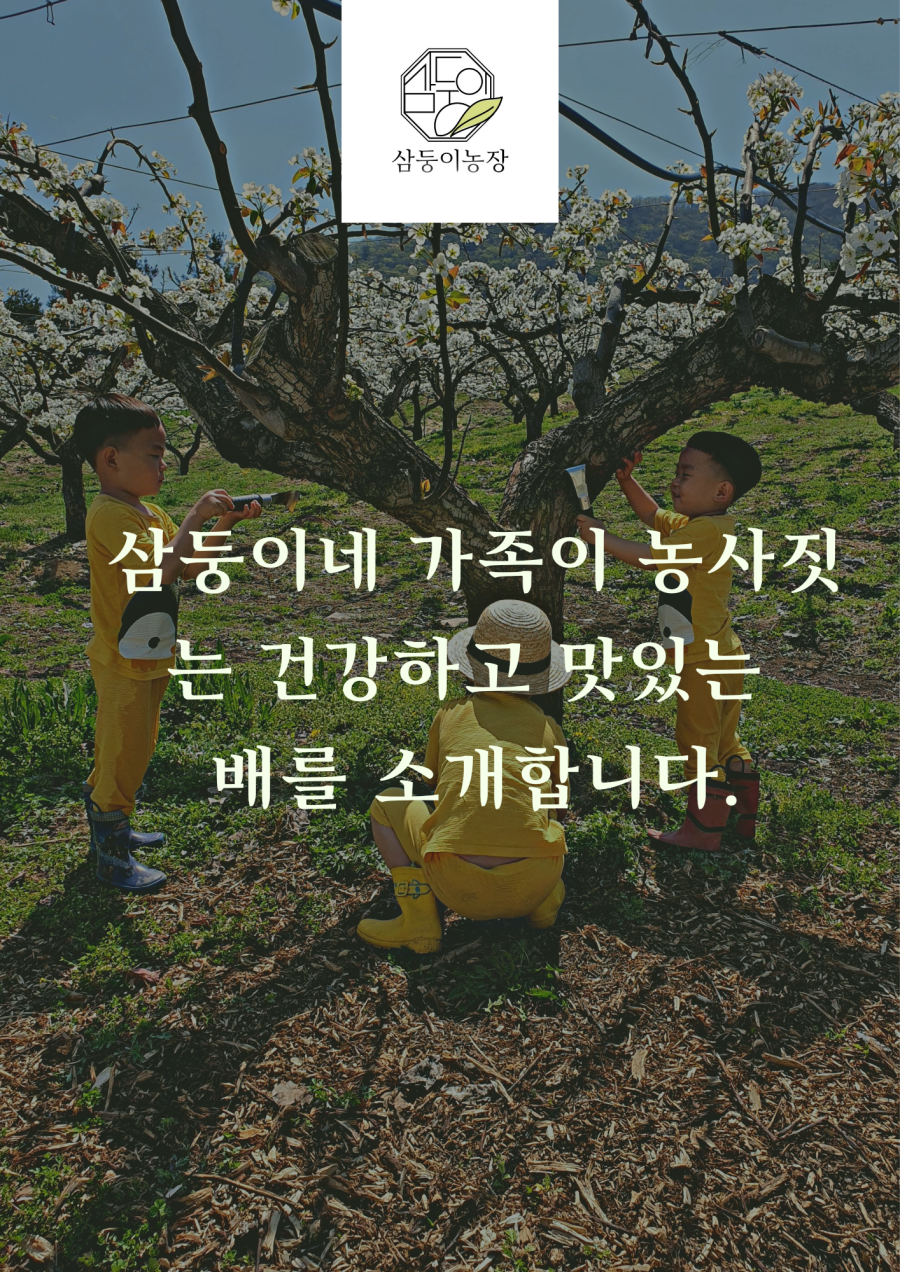 삼둥이농장 삼둥이네 가족이 농사짓는 건강하고 맛있는 배를 소개합니다.
