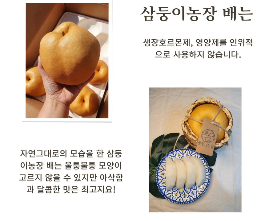 삼둥이농장 배는 생장호르몬제와 영양제를 인위적으로 사용하지 않습니다. 삼둥이농장 배는 자연 그대로의 모습을 가지고 있어 울퉁불퉁하고 모양이 고르지 않을 수 있지만, 아삭함과 달콤한 맛은 최고입니다!