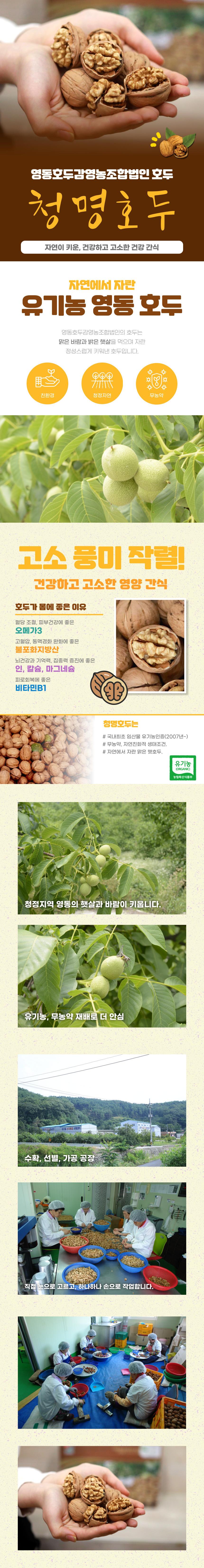 영동호두감영농조합법인의 호두는 자연이 키운 건강하고 고소한 간식입니다. 유기농 영동 호두는 맑은 바람과 밝은 햇살을 먹으며 정성스럽게 자란 호두입니다. 친환경 청정자연에서 무농약으로 자라 고소한 풍미가 작렬합니다. 호두는 혈당 조절, 피부 건강에 좋은 오메가3, 고혈압과 동맥경화 완화에 좋은 불포화지방산, 뇌 건강과 기억력, 집중력 증진에 좋은 인, 칼슘, 마그네슘, 비타민B1이 풍부합니다. 청명호두는 국내 최초 임산물 유기농 인증을 받았으며, 유기농 청정지역 영동의 햇살과 바람이 키웁니다. 유기농, 무농약 재배로 더 안심할 수 있으며, 수확, 선별, 가공 과정은 모두 손으로 정성스럽게 이루어집니다.