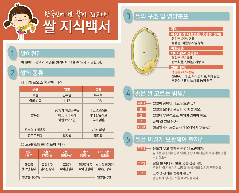 한국인에겐 밥이 최고야!1. 쌀이란?벼 열매의 왕겨와 겨층을 벗겨내어 먹을 수 있게 가공한 것. 탄수화물, 단백질, 지방 외에도 다양한 영양분이 함유되어 있습니다.2. 쌀의 종류아밀로오스 함량에 따라 멥쌀과 찹쌀로 구분됩니다. 멥쌀은 반투명하고 찹쌀은 유백색입니다.3. 쌀의 구조 및 영양분포- 과피: 미강(쌀겨) - 영양분 29% 함유, 섬유질과 식물성 지방이 풍부합니다.- 백미(배유) - 영양분 5% 함유, 주로 탄수화물, 단백질, 지방이 포함되어 있습니다.- 쌀눈(배아) - 영양분 66% 함유, GABA, 비타민, 옥타코사놀, 미네랄군, 휘친산, 베타시스테롤 등이 풍부합니다.4. 좋은 쌀 고르는 방법- 쌀알이 광택이 나고 맑으면 좋습니다.- 쌀알의 모양이 균일한 것이 좋습니다.- 쌀알에 부분적으로 백색이 없어야 합니다.- 금이 간 쌀은 피하세요.- 생산일자와 도정일자가 오래되지 않은 것을 선택하세요.5. 쌀은 어떻게 보관해야 할까?- TIP1: 온도가 낮고 밀폐된 공간에 보관하세요. 밀폐용기나 페트병에 담아 냉장고 야채실에 보관하는 것을 추천합니다.- TIP2: 남은 쌀 위에 새 쌀을 붓지 마세요. 오래된 쌀이 새로운 쌀을 빨리 상하게 만듭니다.- TIP3: 고추 2~3개를 쌀통에 넣으면 쌀벌레가 생기는 것을 막아줍니다.