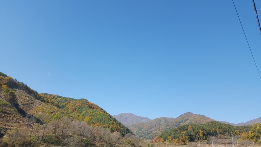 호두 크기